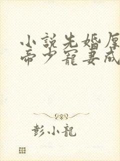 小说先婚厚爱:帝少宠妻成瘾