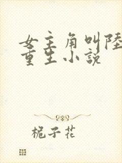 女主角叫陆瑶的重生小说