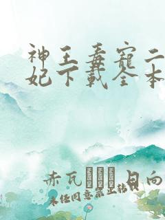 神王毒宠二嫁王妃下载全本txt