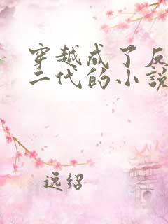 穿越成了反派富二代的小说叶枫