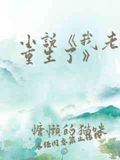 小说《我老婆也重生了》