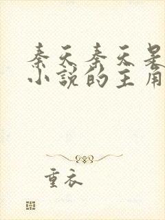 秦天秦天是哪部小说的主角