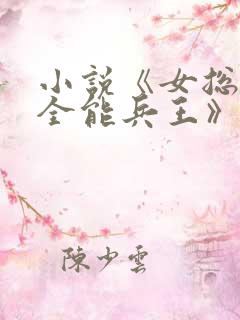 小说《女总裁的全能兵王》