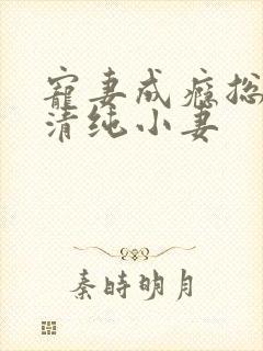 宠妻成瘾总裁的清纯小妻