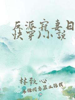 反派宠妻日常(快穿)小说