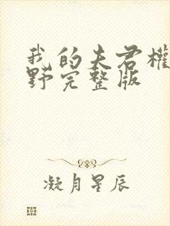 我的夫君权倾朝野完整版