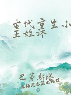 古代重生小说女主姓沐