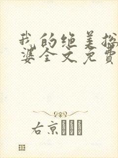 我的绝美总裁老婆全文免费