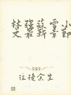 林强苏雪小说全文最新章节