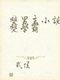 双男主小说校园双学霸