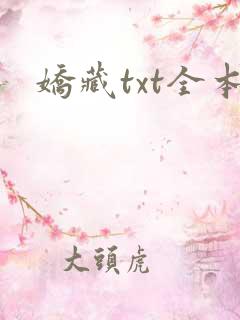 娇藏txt全本