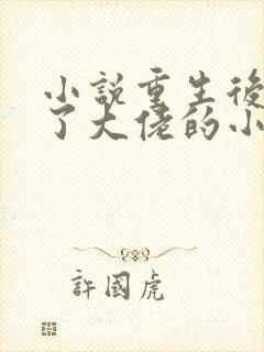 小说重生后我成了大佬的小心肝阅读