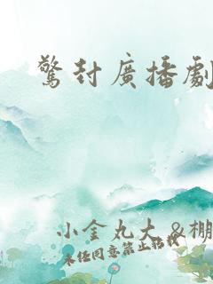 惊封广播剧网盘