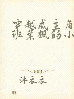 穿越成主角小跟班叶枫的小说