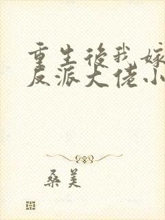 重生后我嫁给了反派大佬小说