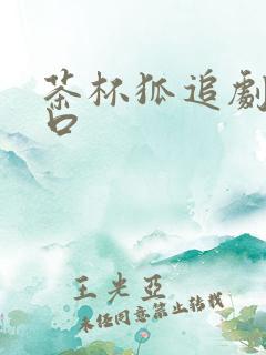 茶杯狐追剧网入口