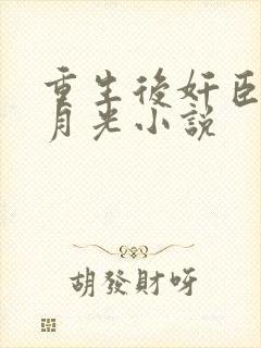 重生后奸臣的黑月光小说