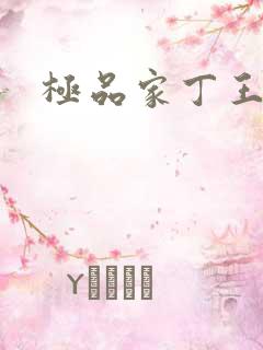 极品家丁王鹏篇