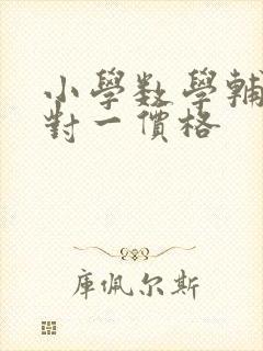 小学数学辅导一对一价格