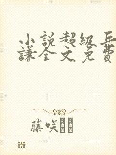 小说超级兵王叶谦全文免费阅读