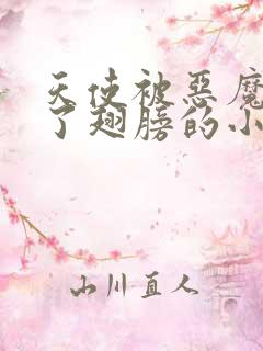 天使被恶魔折断了翅膀的小说