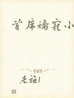 首席娇宠小情人