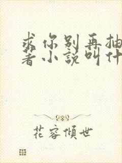 求你别再抽了原著小说叫什么