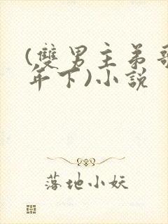 (双男主弟哥,年下)小说