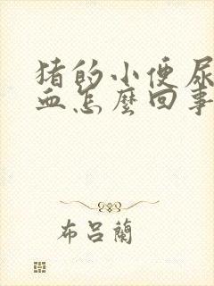 猪的小便尿的是血怎么回事