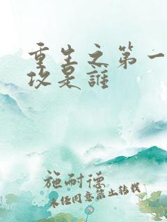重生之第一秘书攻是谁