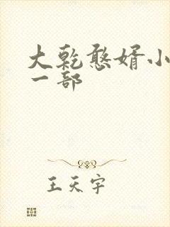 大乾憨婿小说第一部