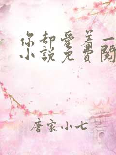 你却爱着一个他小说免费阅读漫画