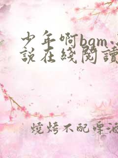 少年啊bgm小说在线阅读免费全文