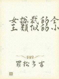 女总裁的全能兵王类似的小说