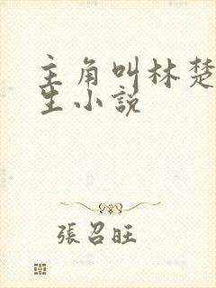 主角叫林楚的重生小说