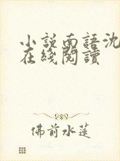 小说南语沈聿珩在线阅读