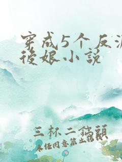 穿成5个反派的后娘小说
