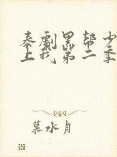 泰剧黑帮少爷爱上我第二季