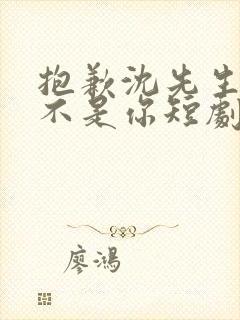 抱歉沈先生孩子不是你短剧