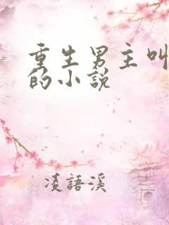 重生男主叫江辰的小说