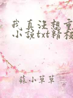 我真没想重生啊小说txt精校版