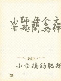 小师母全文阅读笔趣阁无弹窗