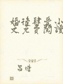 婚后肆爱小说全文免费阅读无弹窗