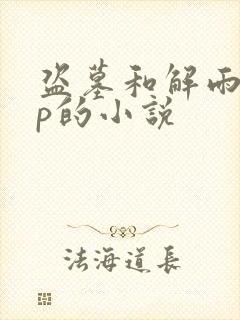 盗墓和解雨臣cp的小说