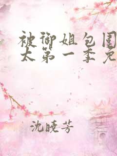 被御姐包围的正太第一季免费播放全集