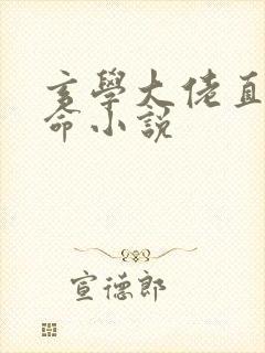 玄学大佬直播算命小说