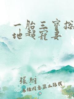 一胎三宝总裁爹地超宠妻