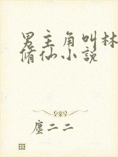 男主角叫林南的修仙小说