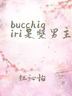 bucchigiri是双男主嘛