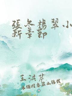 张冬杨翠小说最新章节